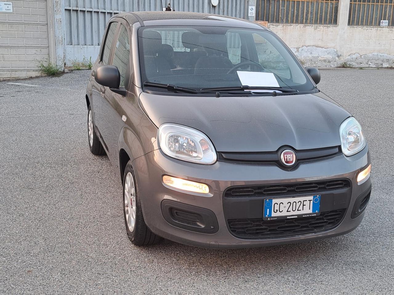 Fiat Panda 1.0 FireFly S&S Hybrid Easy Elettrica Benzina