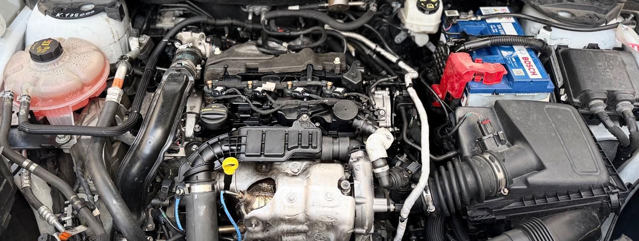 Ford Kuga 1.5 Diesel Automatica 120 Cv