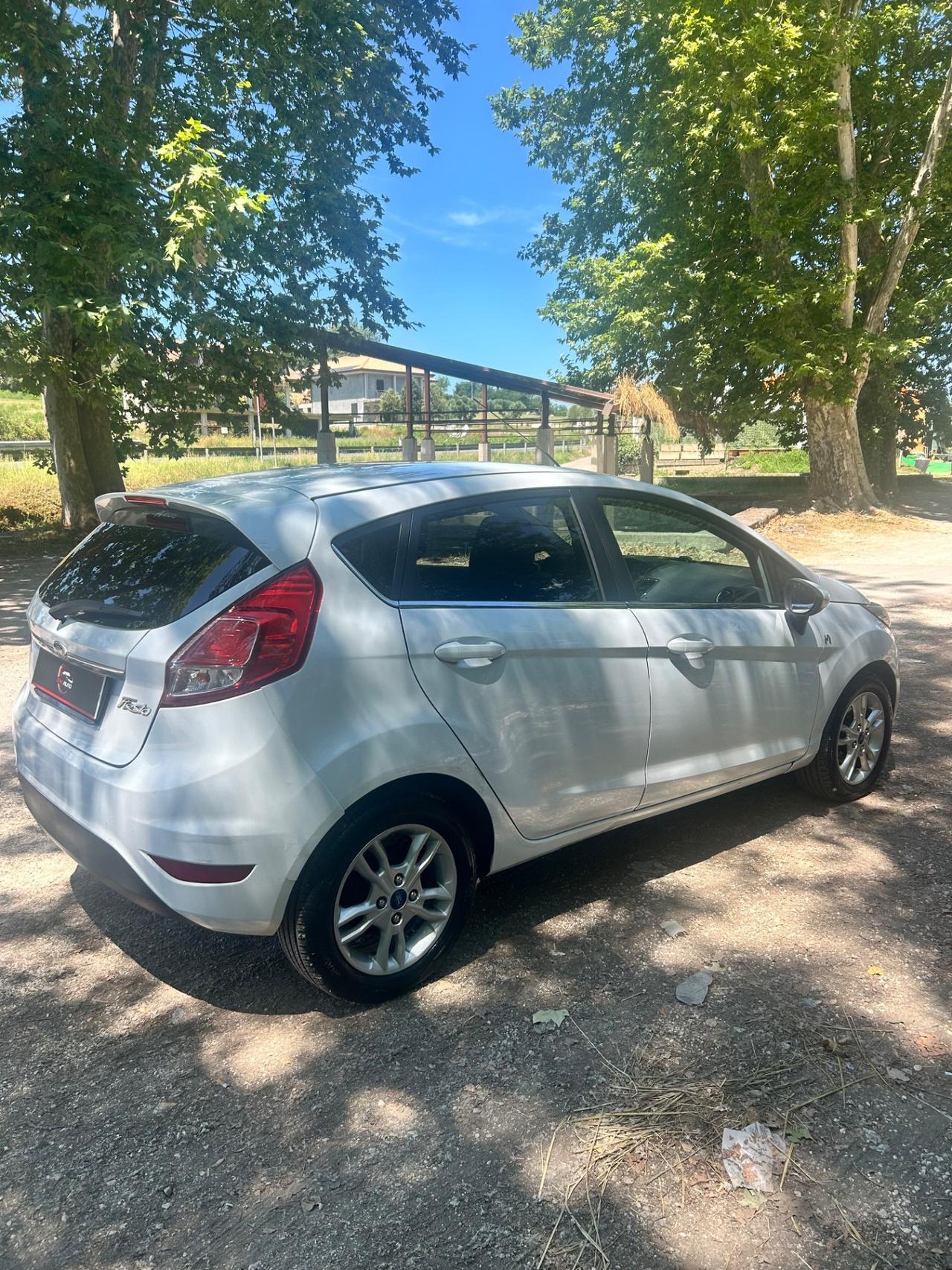 Ford Fiesta 1.4 5 porte Bz.- GPL Black & White Edition