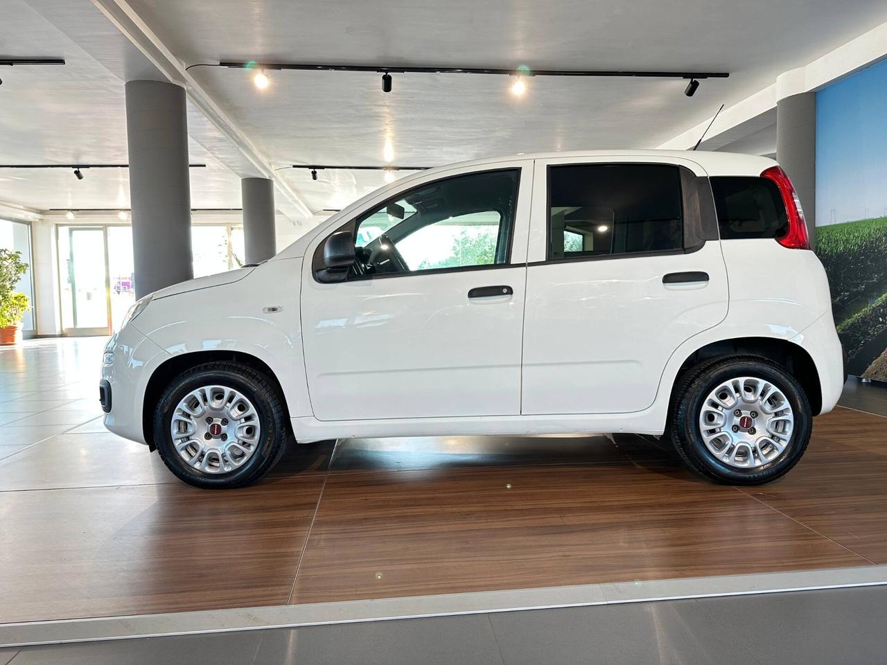 Fiat Panda 1.2 EasyPower Easy