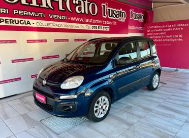 FIAT Panda 3ª serie Panda 1.2 Lounge