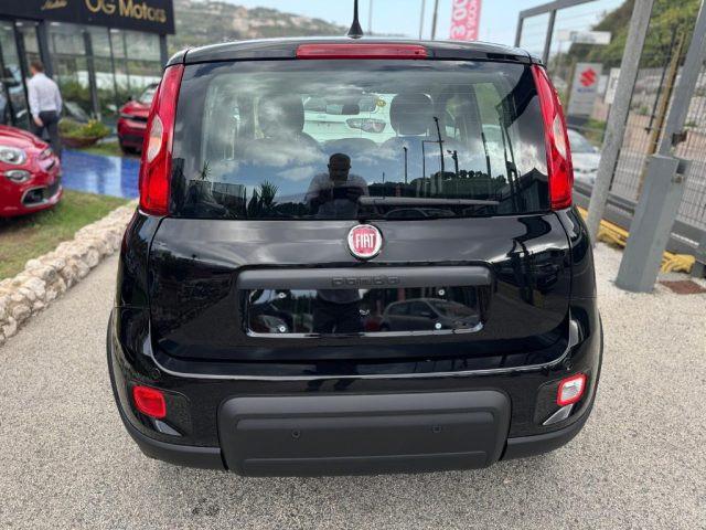 FIAT Panda 1.0 FireFly S&S Hybrid Pandina con ADAS