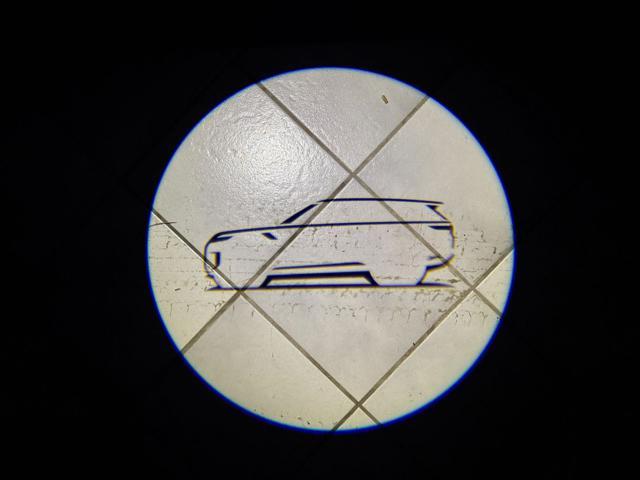 LAND ROVER Range Rover Sport 3.0D l6 249 CV Dynamic SE TETTO PAN-CERCHI DA 22'