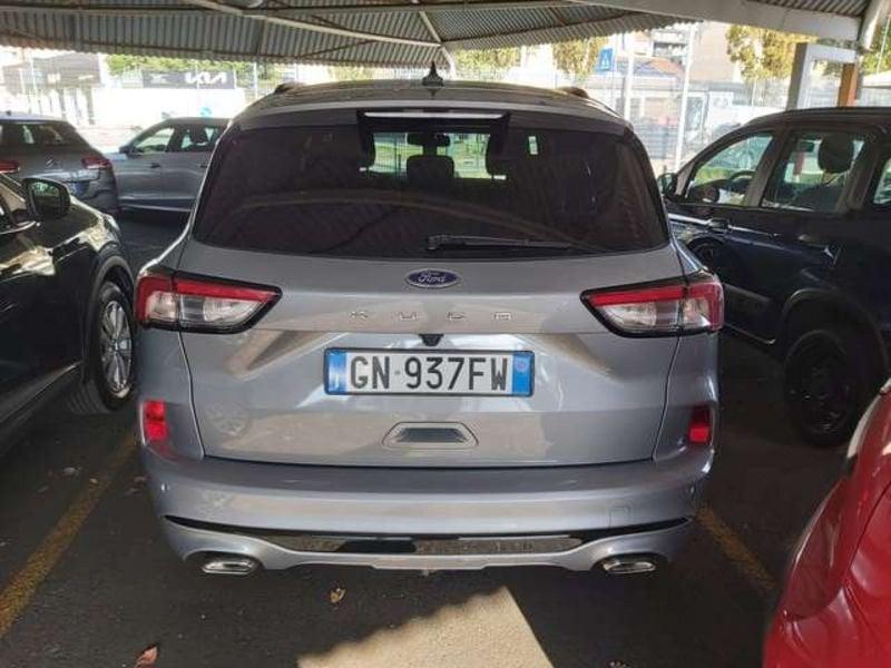 Ford Kuga 2.0 ecoblue ST-Line 2wd 120cv auto