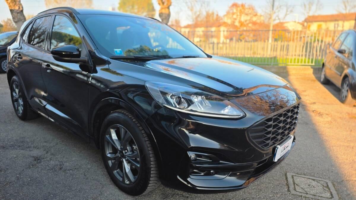 Ford Kuga 2.0 ecoblue ST-Line 2wd 120cv auto BURATTI PREMIUM