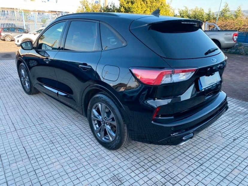 Ford Kuga 1.5 EcoBlue 120 CV aut. 2WD ST-Line X