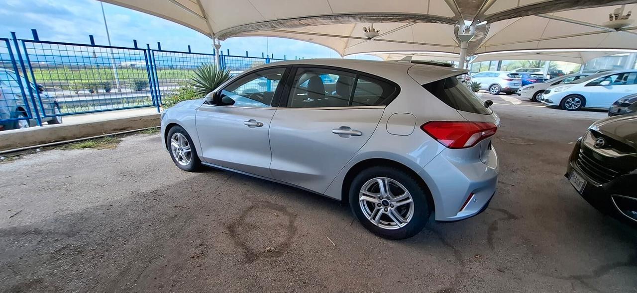 Ford Focus 1.5 EcoBlue 120 CV 5p. Business