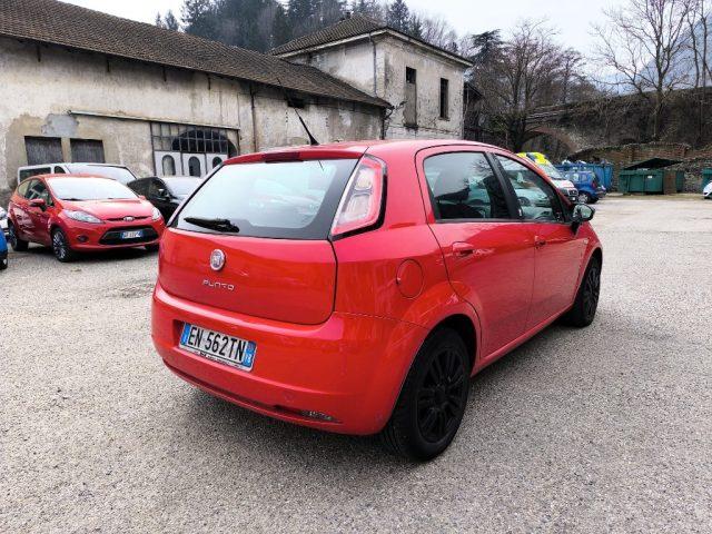 FIAT Punto 1.2 8V 5 porte ADATTA A NEOPATENTATI