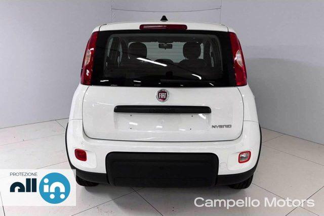 FIAT Panda Panda 1.0 70cv Hybrid Panda My23