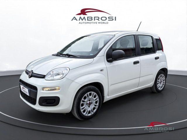 FIAT Panda 1.2 Easy - PER OPERATORI DEL SETTORE