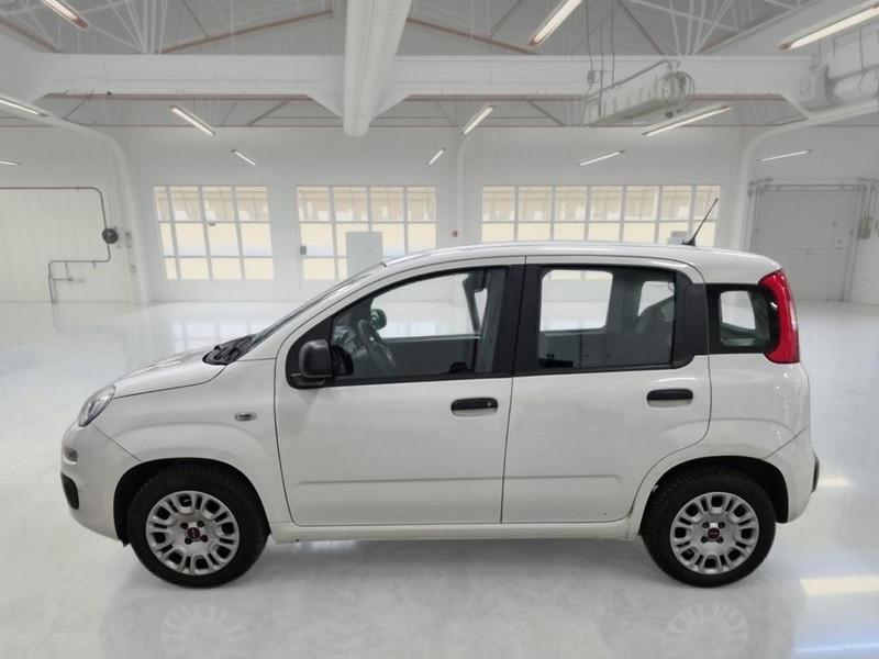 FIAT PANDA 1.2 69 CV SES E6D-TEMP EASY 5 PORTE BERLINA