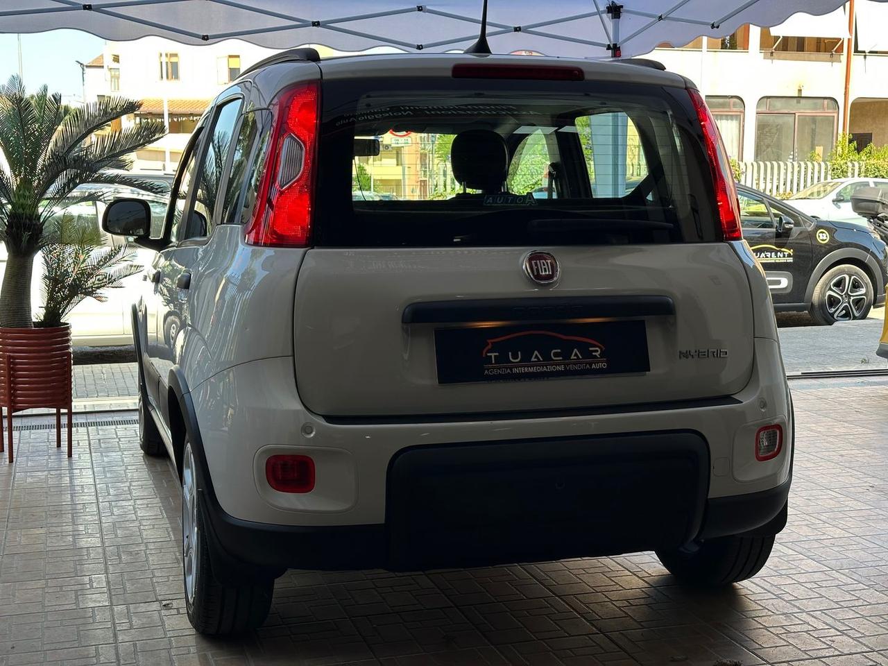 Fiat Panda 1.0 HYBRID MY24 #11654