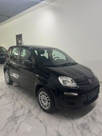 In Vendita: Fiat Panda 1.2 Benzina - 2016