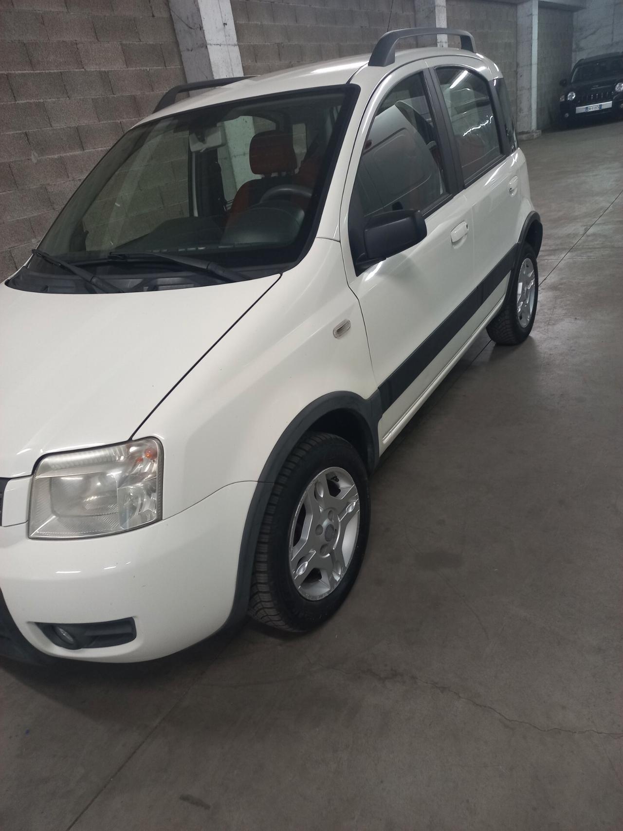 Fiat Panda 1.2 Climbing Natural Power