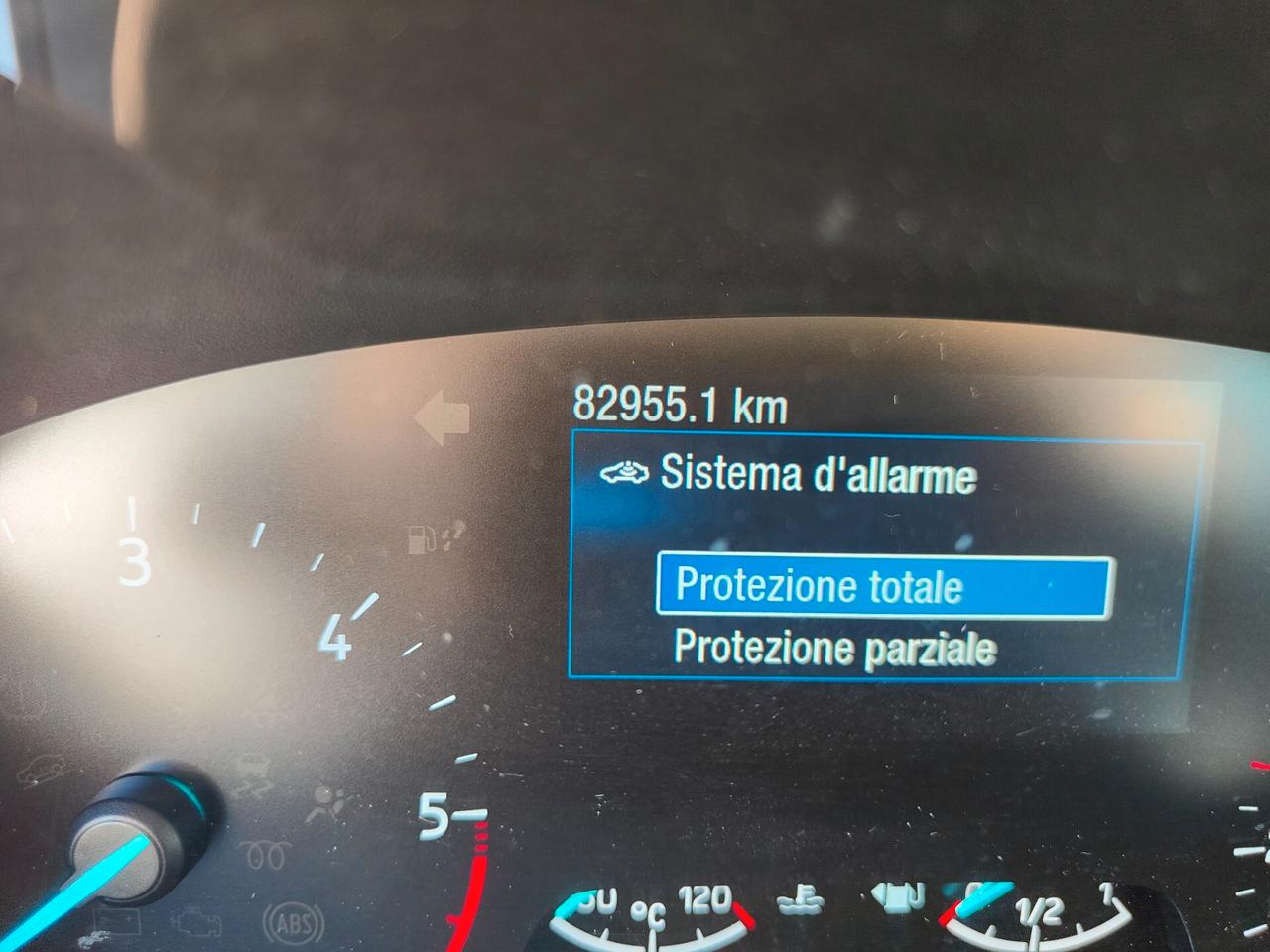 Ford Focus 1.5 EcoBlue 120 CV automatico SW Business Co-Pilot. IVA INCLUSA NEL PREZZO