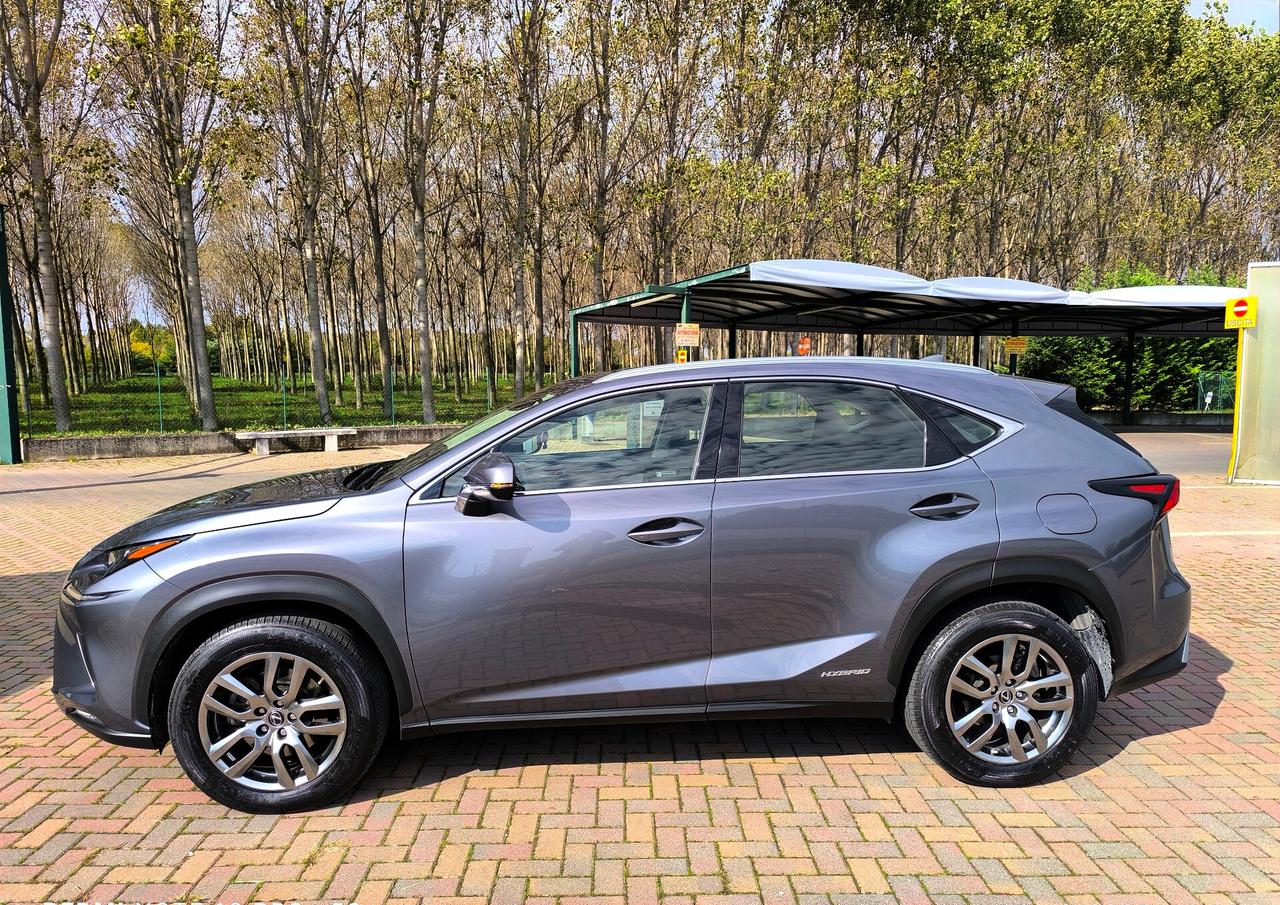Lexus NX 300h Hybrid Business
