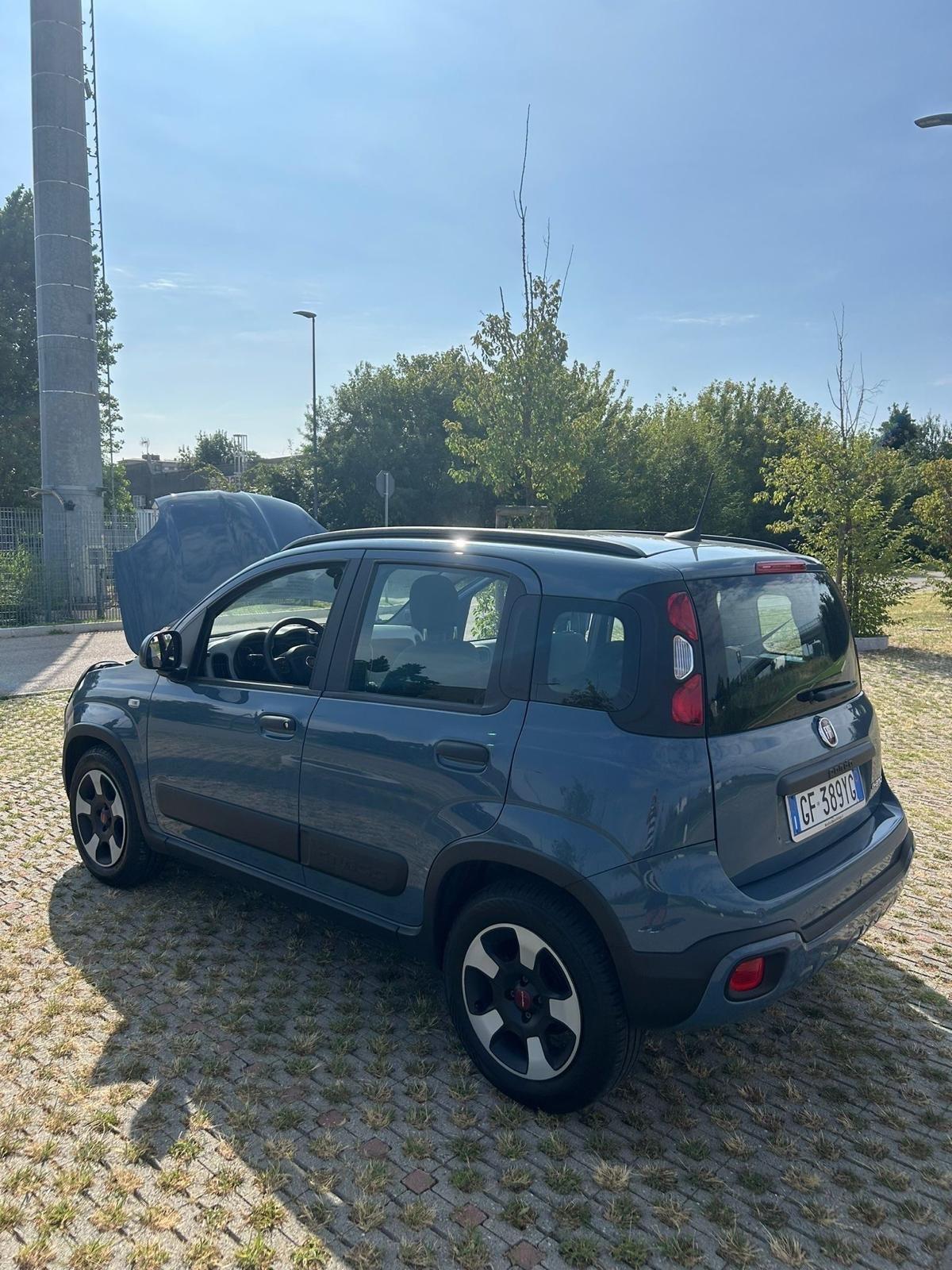 Fiat Panda Cross 1.0 FireFly S&S Hybrid