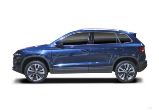 SKODA Karoq 2022 - Karoq 2.0 tdi evo Executive 115cv dsg