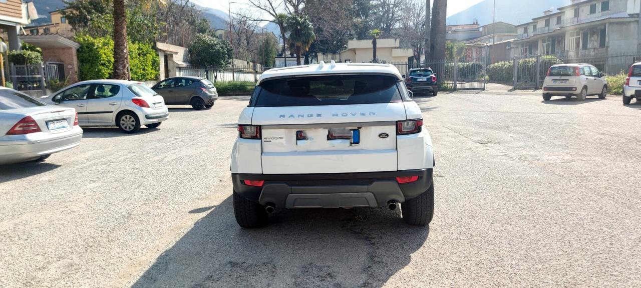 Land Rover Range Evoque 2.0 TD4 150 CV 5p. SE Dynamic TETTO