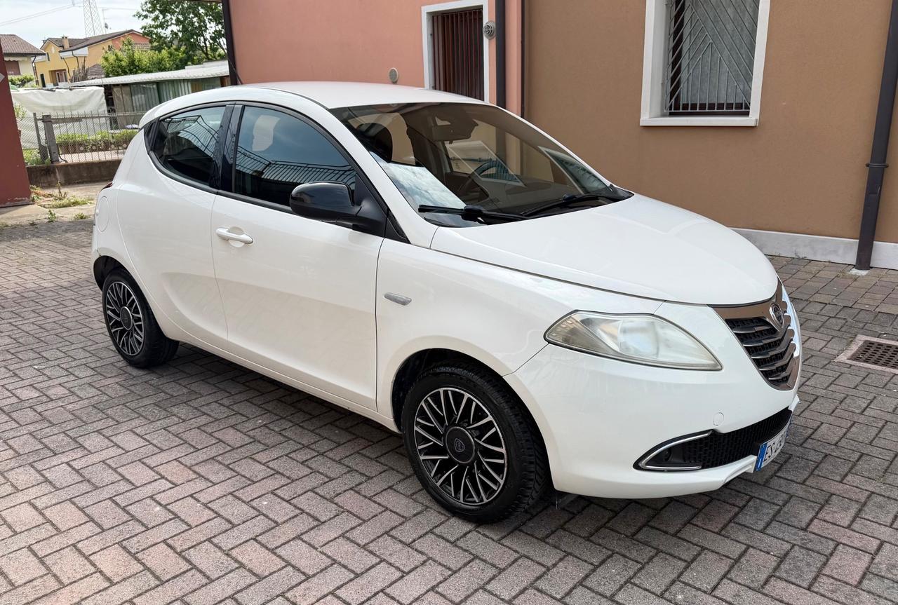 Lancia Ypsilon 1.3 MJT 16V 95 CV Ok Neopatentati