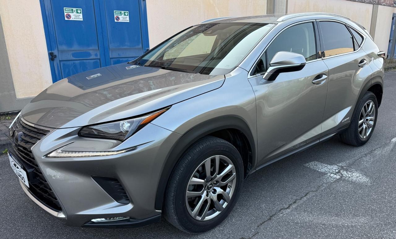 Lexus NX 300h NX Hybrid Business 2020