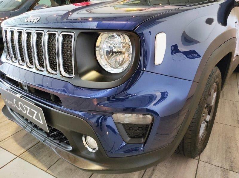 Jeep Renegade 1.3 T4 DDCT Business