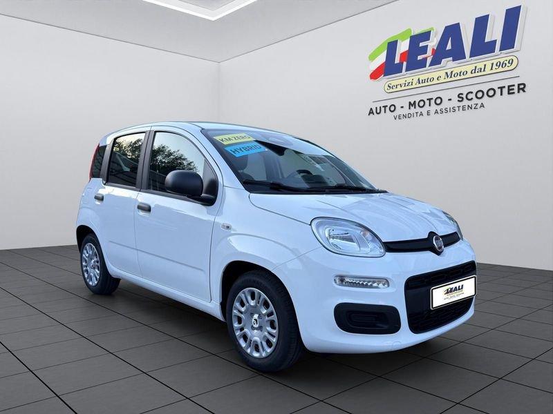 FIAT Pandina Pandina 5p 1.0 FireFly 65cv S&S 6m Hybrid Icon
