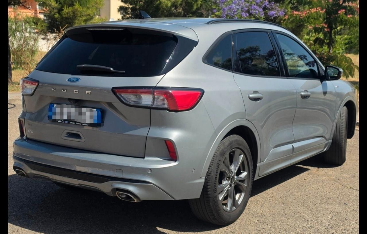 Ford Kuga 1.5 EcoBlue 120 CV 2WD ST-Line