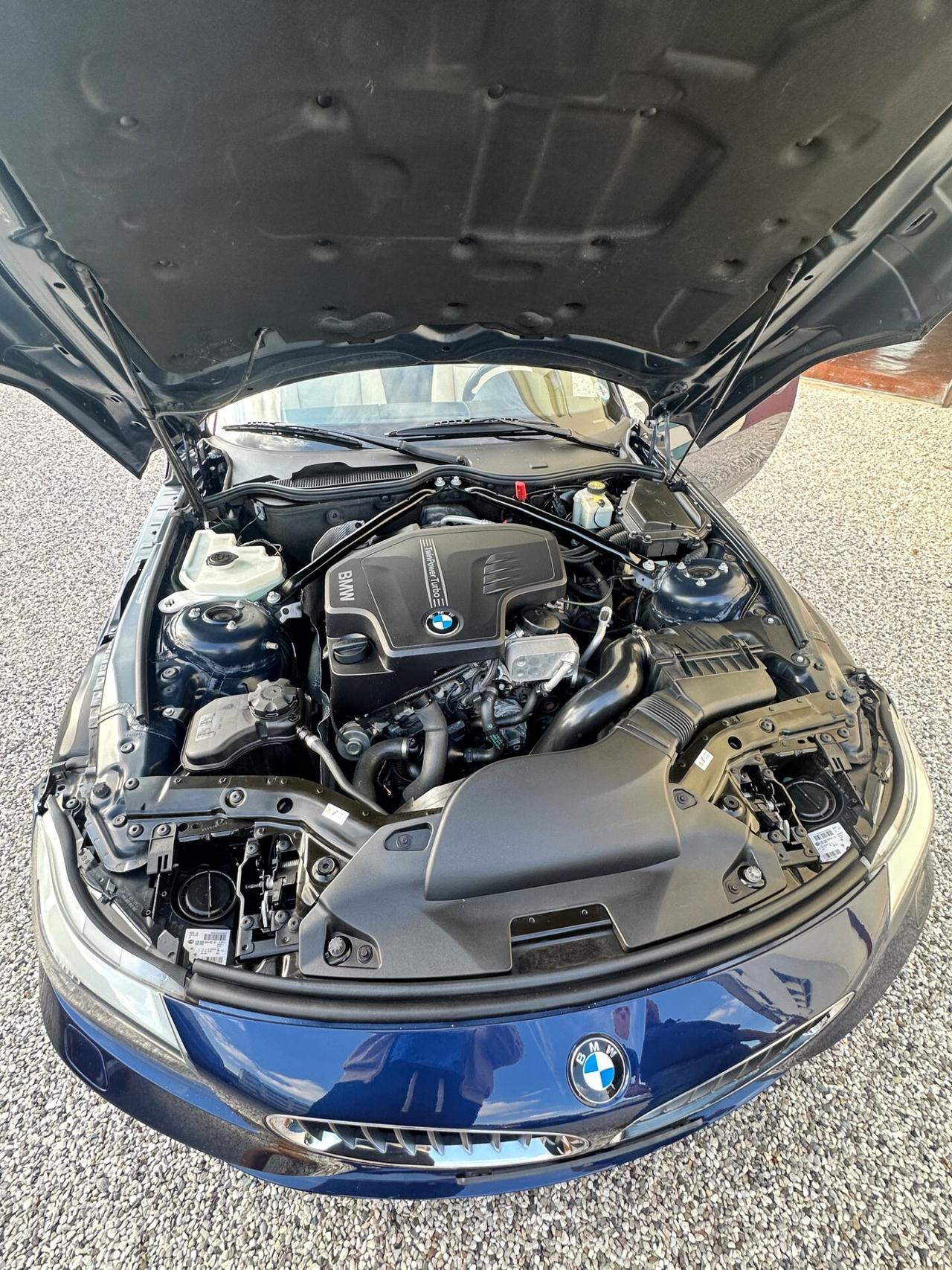 Bmw Z4 sDrive20i