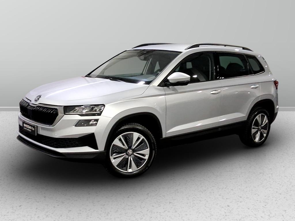 Skoda Karoq 2.0 tdi evo Executive 115cv dsg
