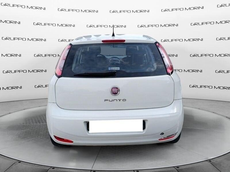 FIAT Punto Punto 1.4 S&S 8V Dualogic 5 porte Easy