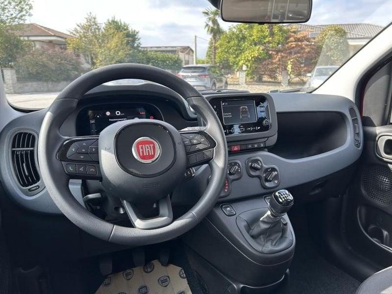 FIAT Panda Pandina 1.0 65 CV Hybrid Icon OK NEOPATENTATI