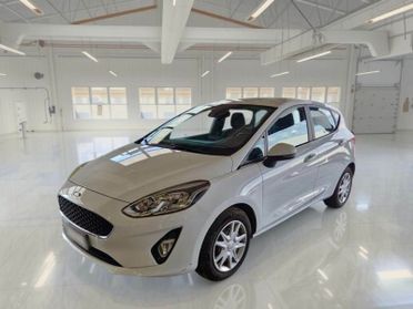 FORD FIESTA 1.5 EcoBlue 85CV Business 5 PORTE