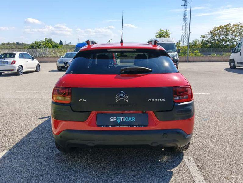CITROEN C4 Cactus 1.6 bluehdi Shine 100cv