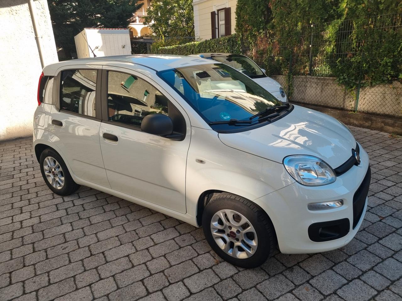 Fiat Panda 1.2 Lounge 69cv anno2018 km64000 neopat