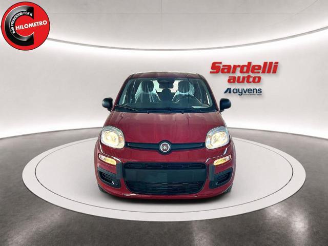 FIAT Pandina 1.0 FireFly 65 CV Hybrid Icon