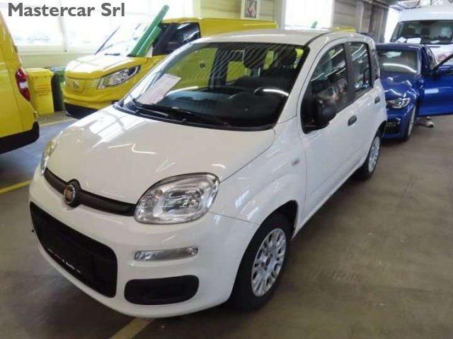 FIAT Panda 1.2 Easy 69cv telaio ZFA31200003D84902