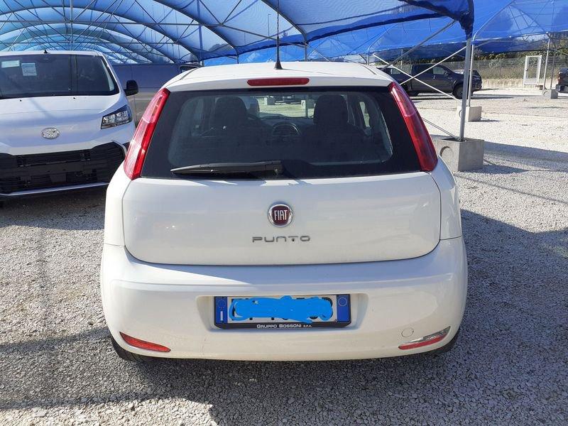 FIAT Punto Punto 1.2 8V 3 porte Street
