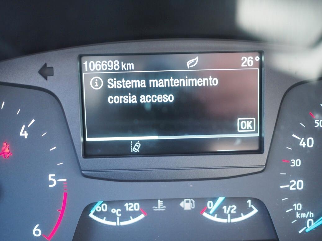 Ford Focus 1.5 EcoBlue 95 CV 5porte del 2018