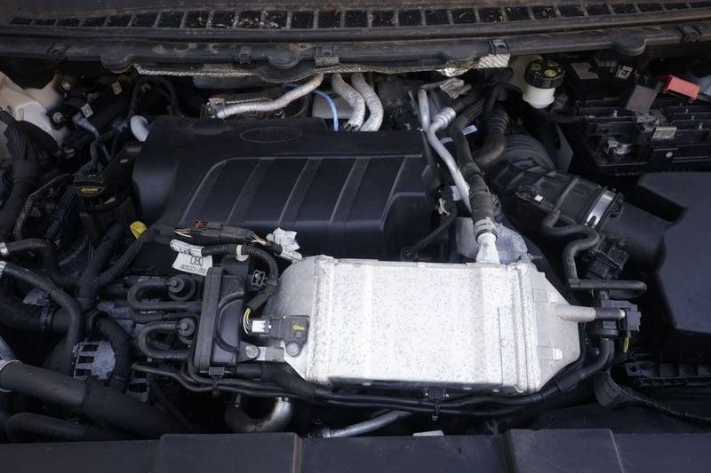 Ford Edge Ford Edge 2.0 EcoBlue 238CV S&S AWD Auto ST-Line 175KW ANNO 2019