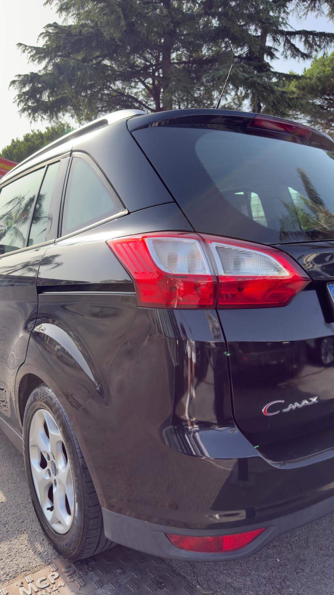 Ford C-Max 1.6 TDCi 110 CV Titanium DPF 7 posti