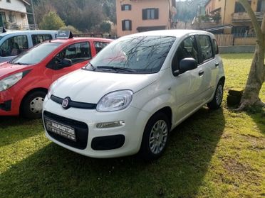 NOLEGGIO FIAT PANDA 1.0 FIREFLY SS HYBRID PANDINA
