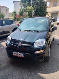 Fiat Panda 1.0 FireFly S&S Hybrid Pandina