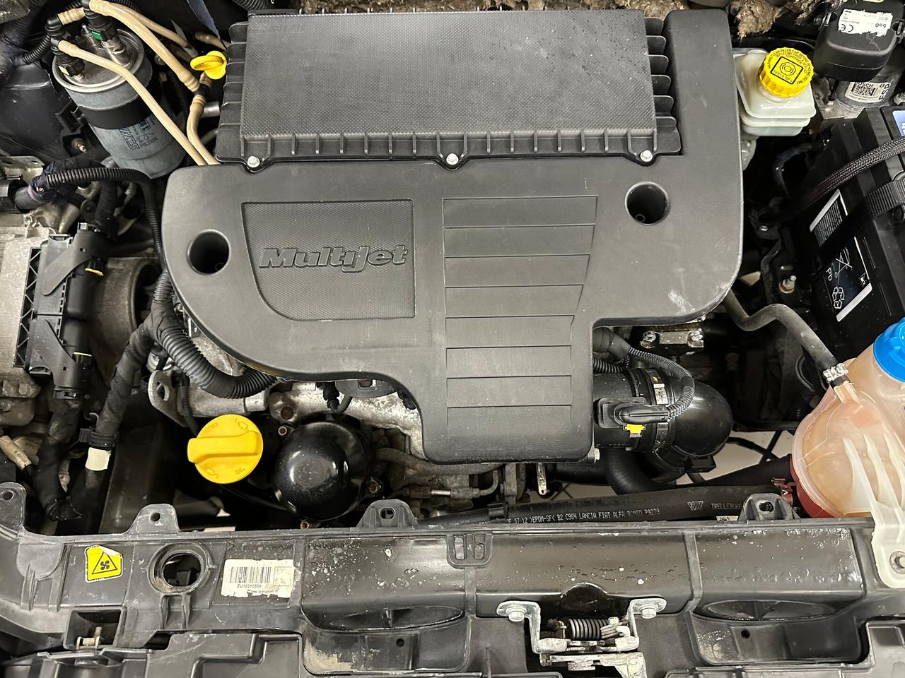 Fiat Punto Evo 1.3 Mjt 75 CV DPF 5 porte Dynamic - 2010