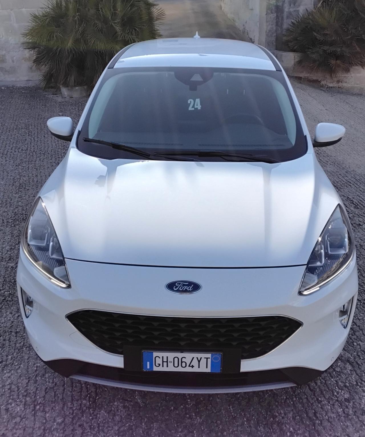 Ford Kuga 1.5 EcoBlue 120 CV aut. 2WD Titanium Business