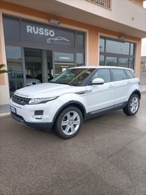 Land Rover Range Evoque 2.2 TD4 5p. Pure