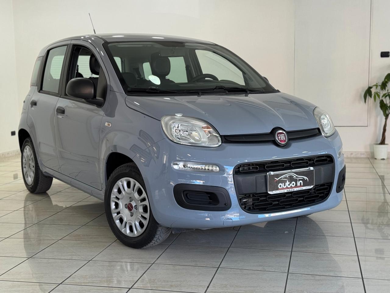 Fiat Panda 1.2 Easy