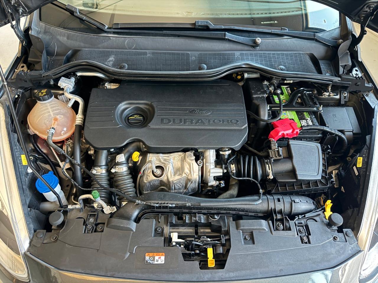 Ford Fiesta 5 Porte 1.5 tdci Plus 85cv
