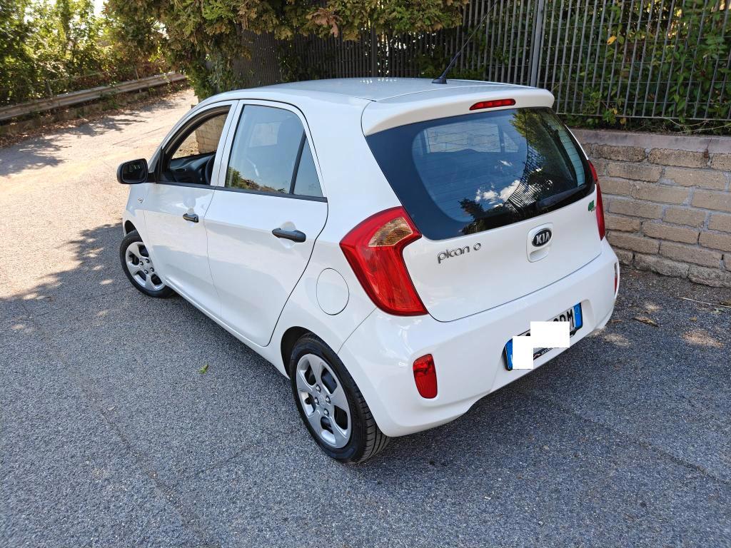 Kia Picanto 5 Porte Picanto 1.0 City Gpl 5p my13