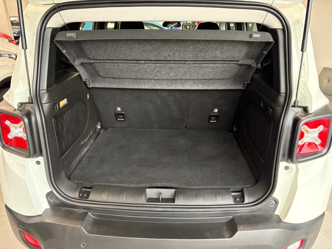 Jeep Renegade 1.6 Mjt 130 CV anno 2021 km 450000